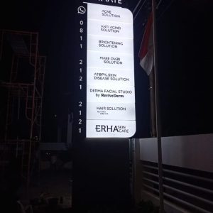 Totem 10